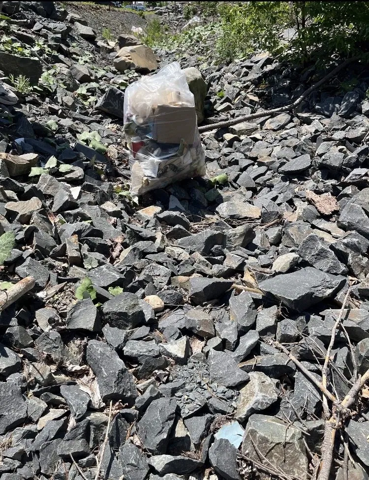 Filled bag of collected litter in the cleared area
